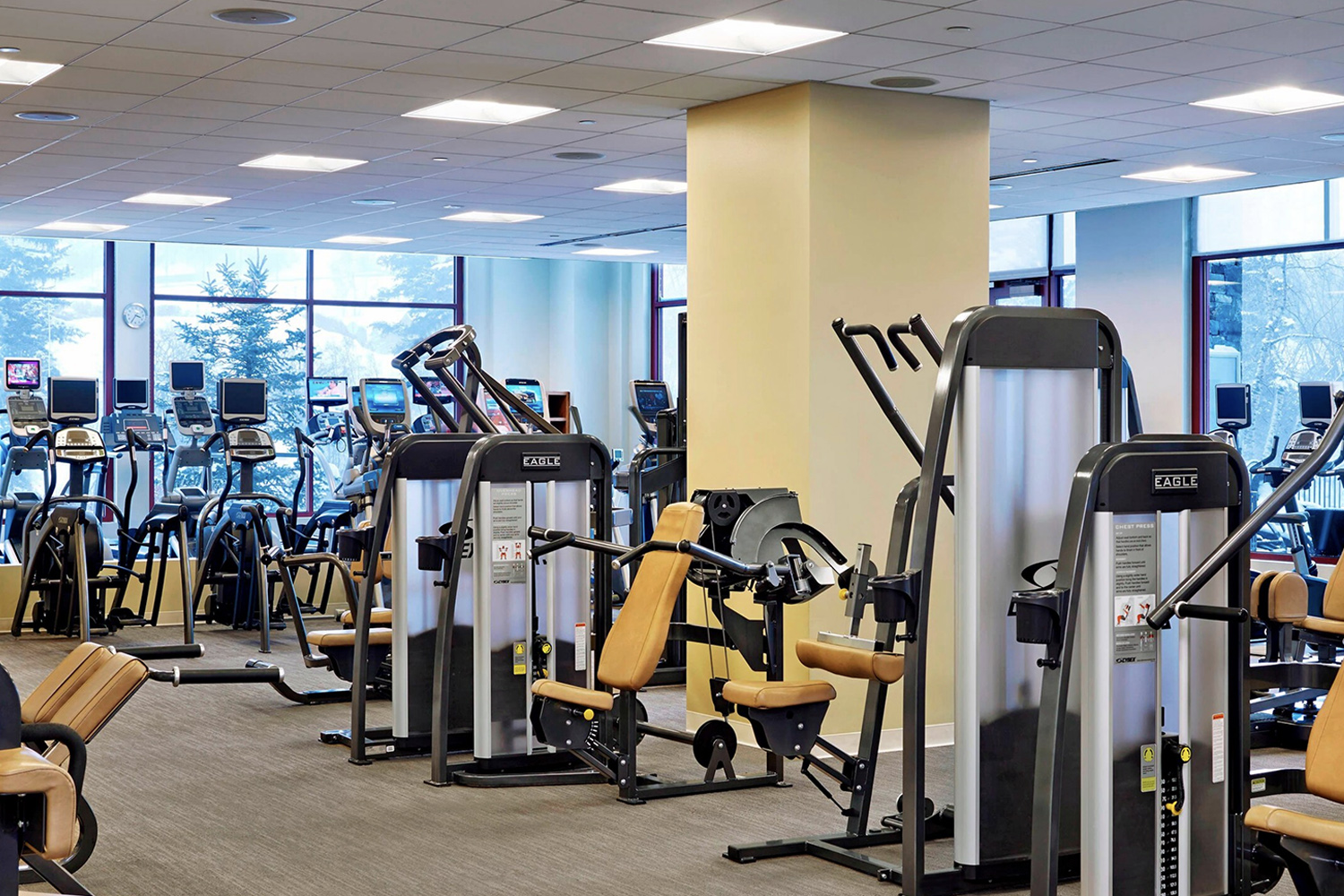 Westin Riverfront Resort and Spa photo