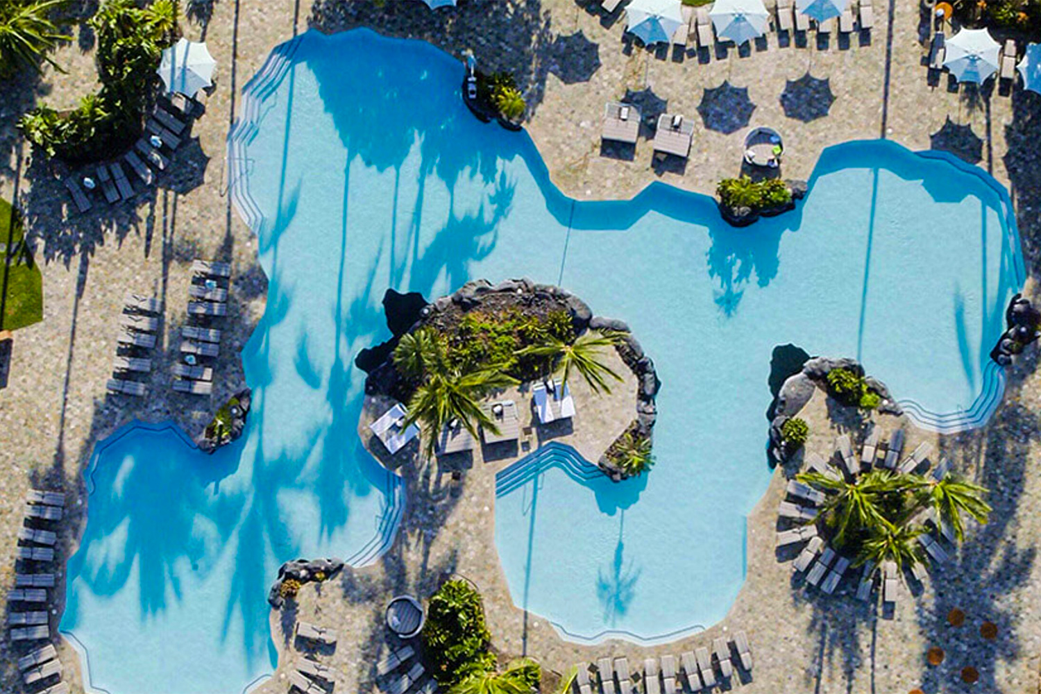 Fairmont Orchid
