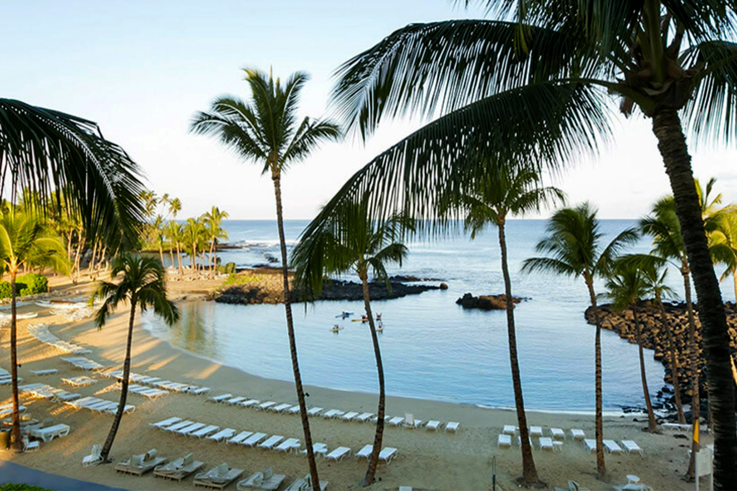 Fairmont Orchid photo